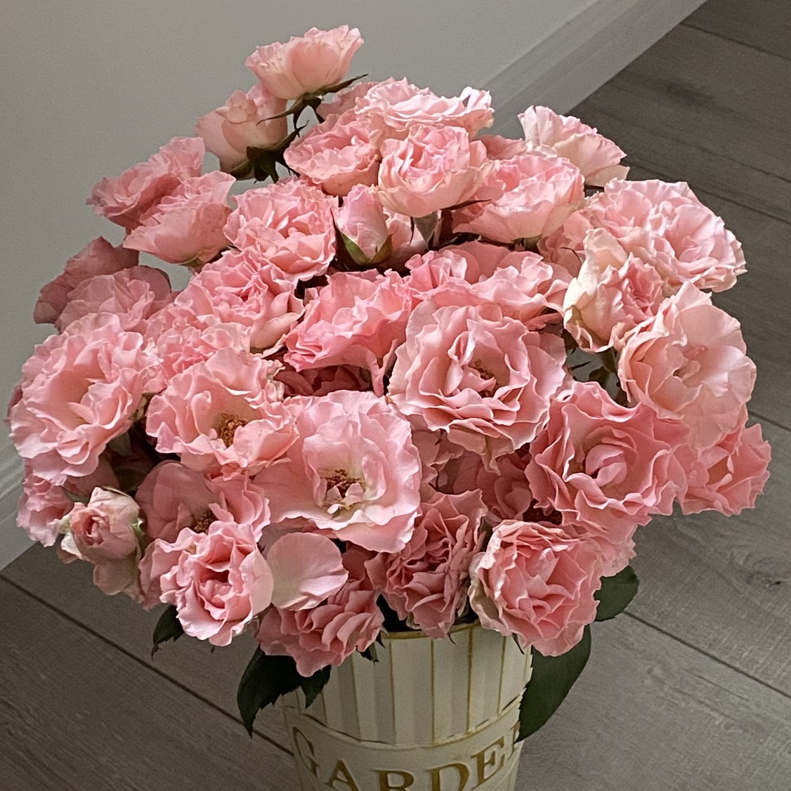 【多头玫瑰花束玫瑰花鲜花】人鱼公主10枝基地自产顺丰包邮N