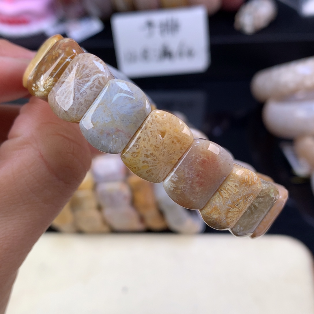 硅化珊瑚（珊瑚玉）未镶嵌吊坠(赠链)（38号）128漏64