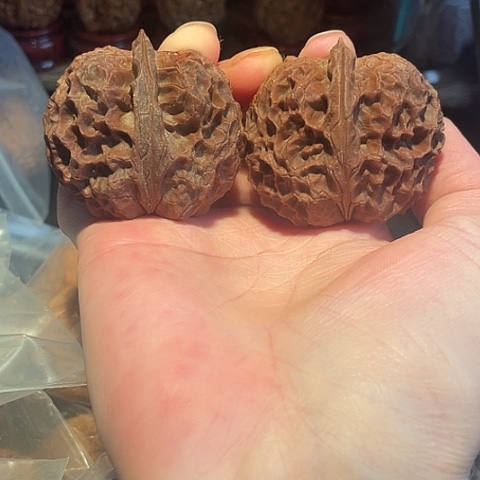 文玩核桃把件凤凰牡丹阴皮49