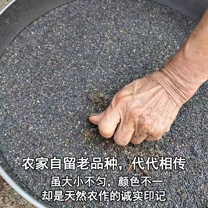 山区自种山货黑芝麻