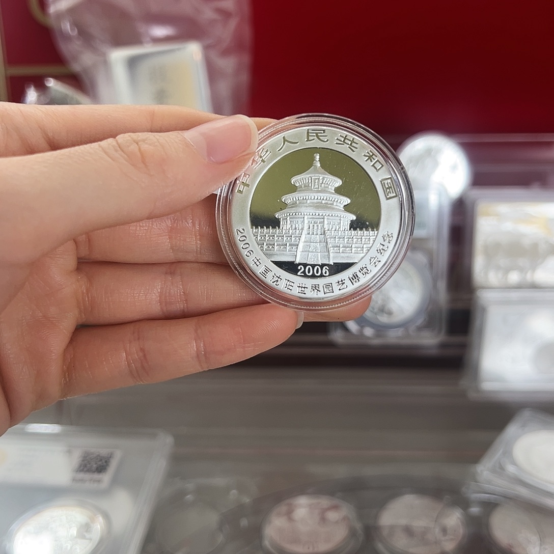 周***晴纯银06年沈阳加字猫