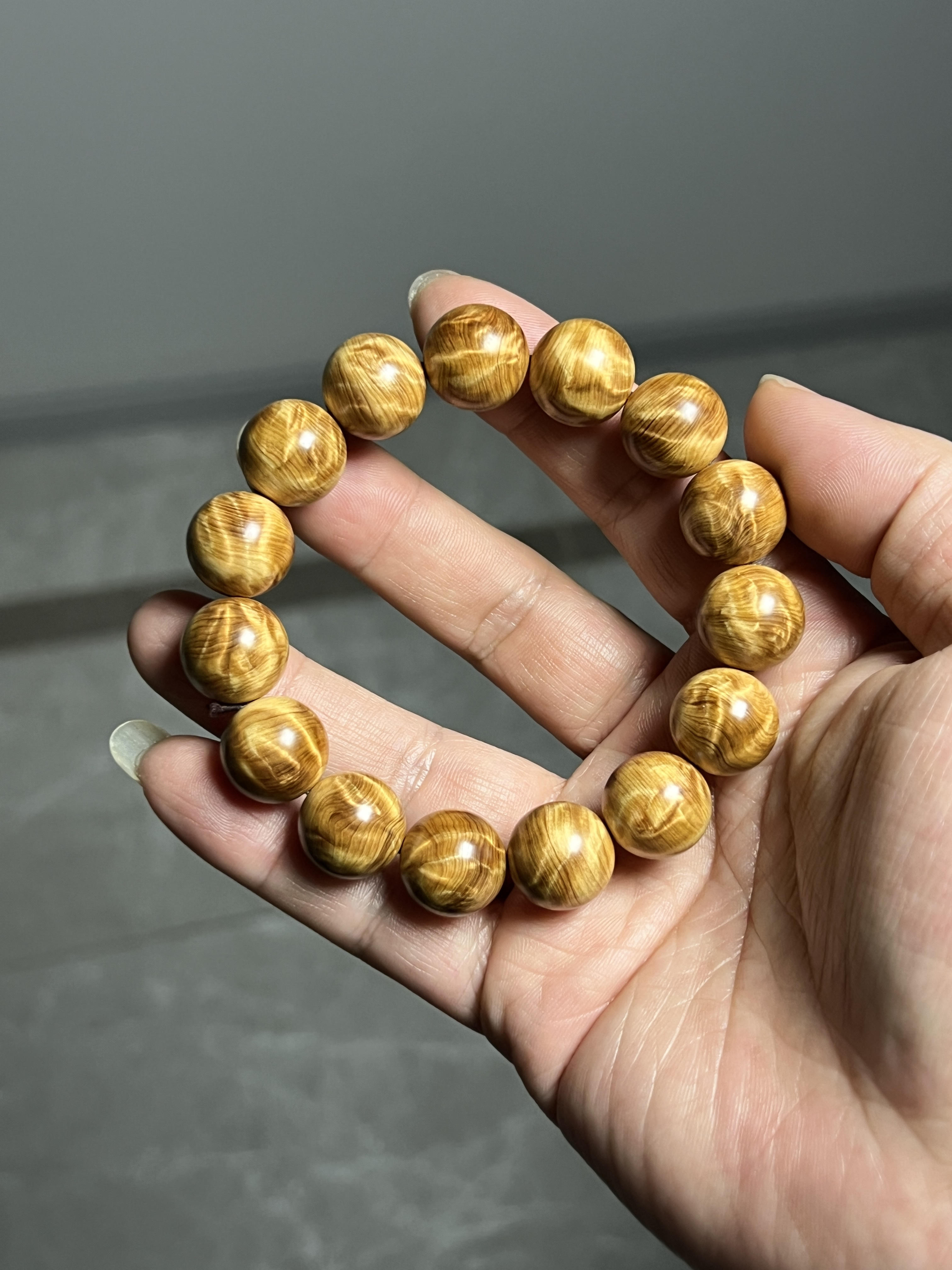 太行崖柏 1.5龙胆闪电