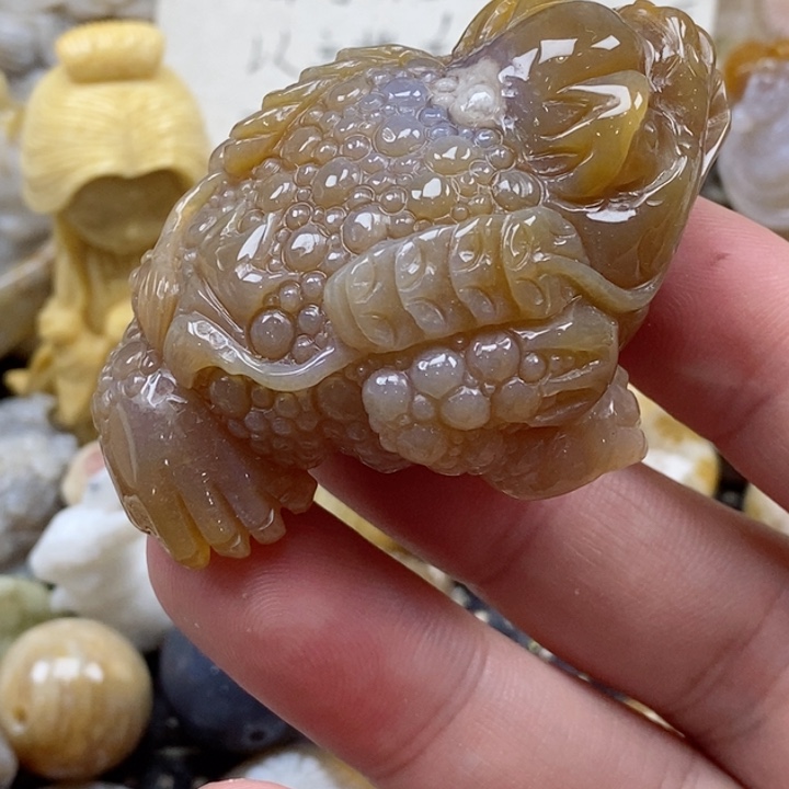 颈饰未镶嵌硅化珊瑚（珊瑚玉）