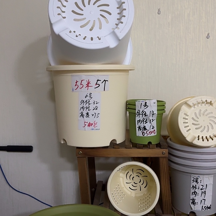 米黄色6号口径32高27无托7个