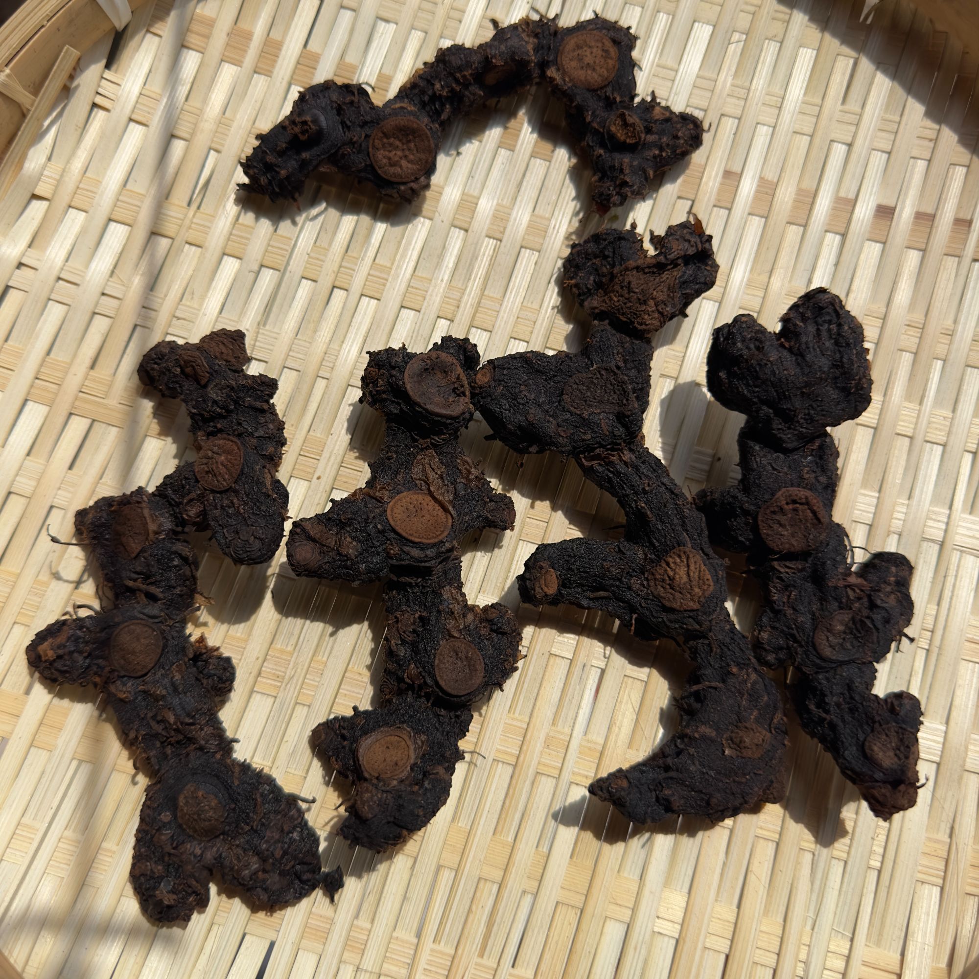 野生多花老虎姜 九蒸九晒过程中断根