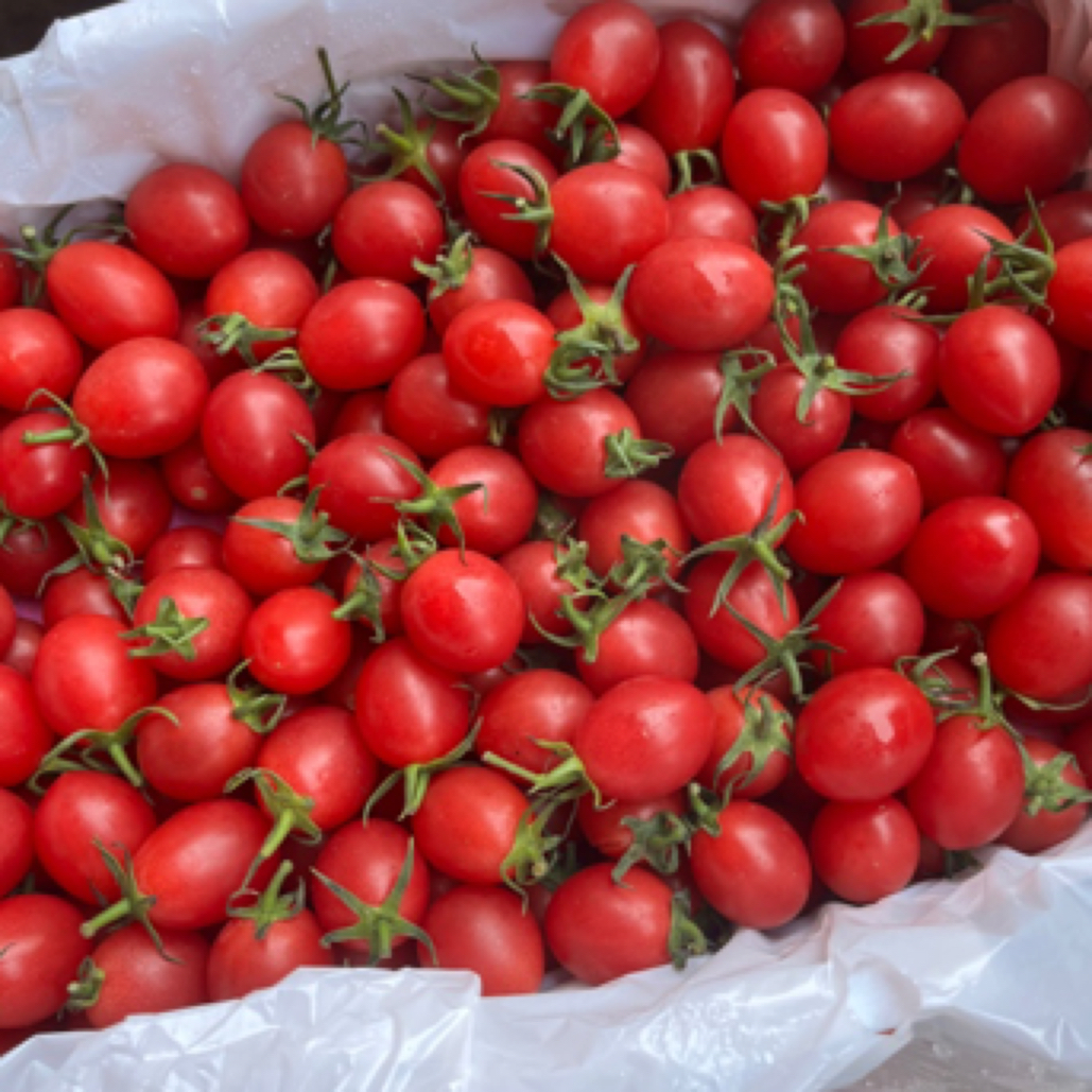 电白小番茄净重两斤