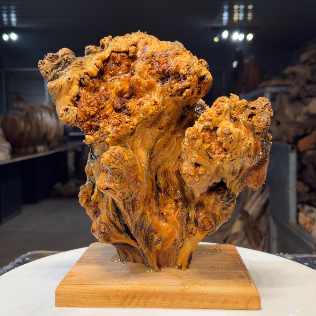 ღ***ঞ木王一刀琥珀木摆件134