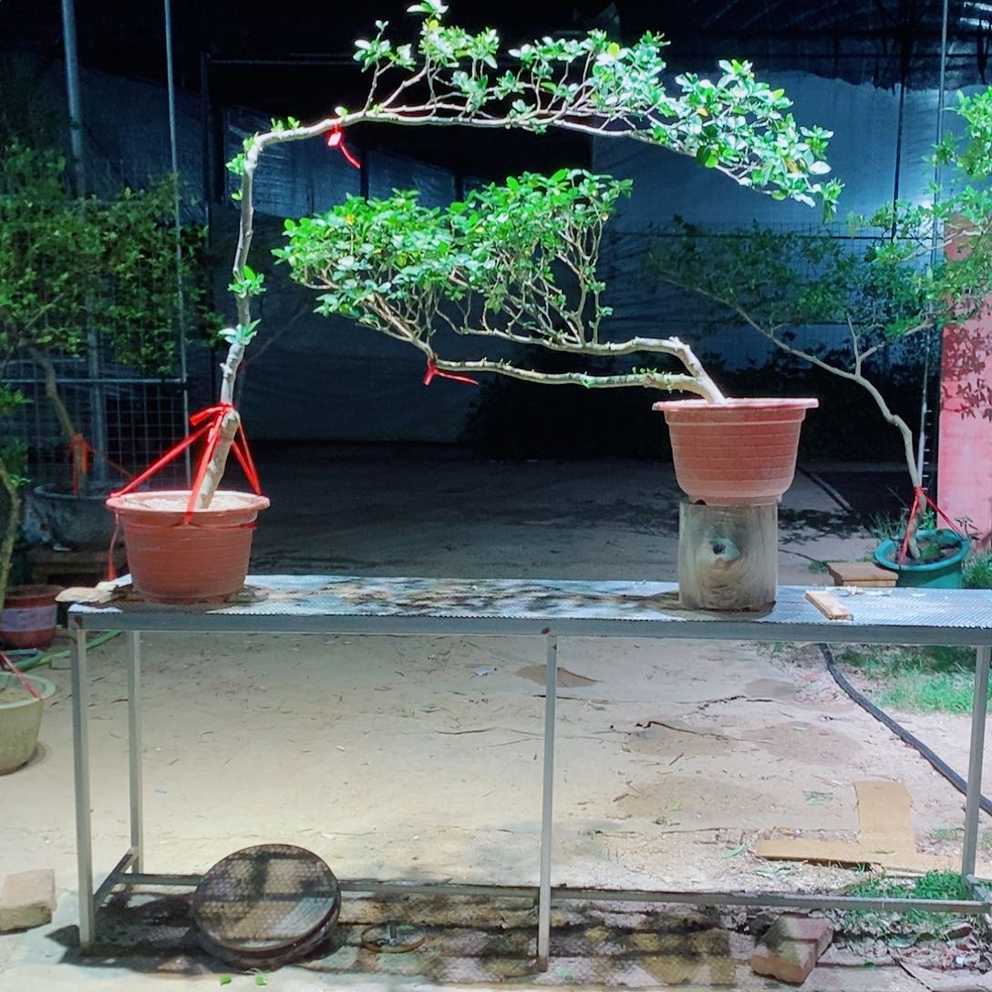 翠***林感谢您的支持和帮助