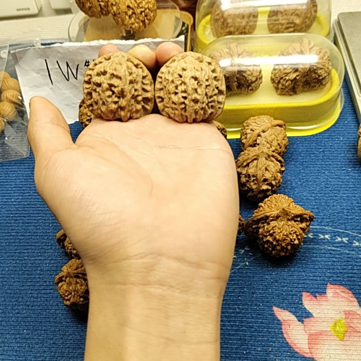 文玩核桃吊坠白狮子