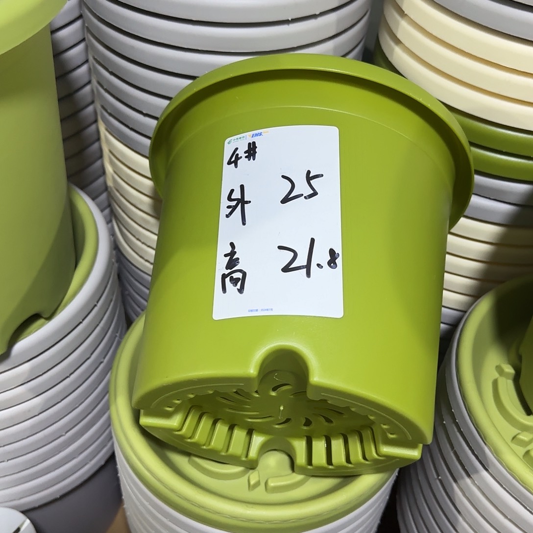 树脂四季4号带托8个果绿