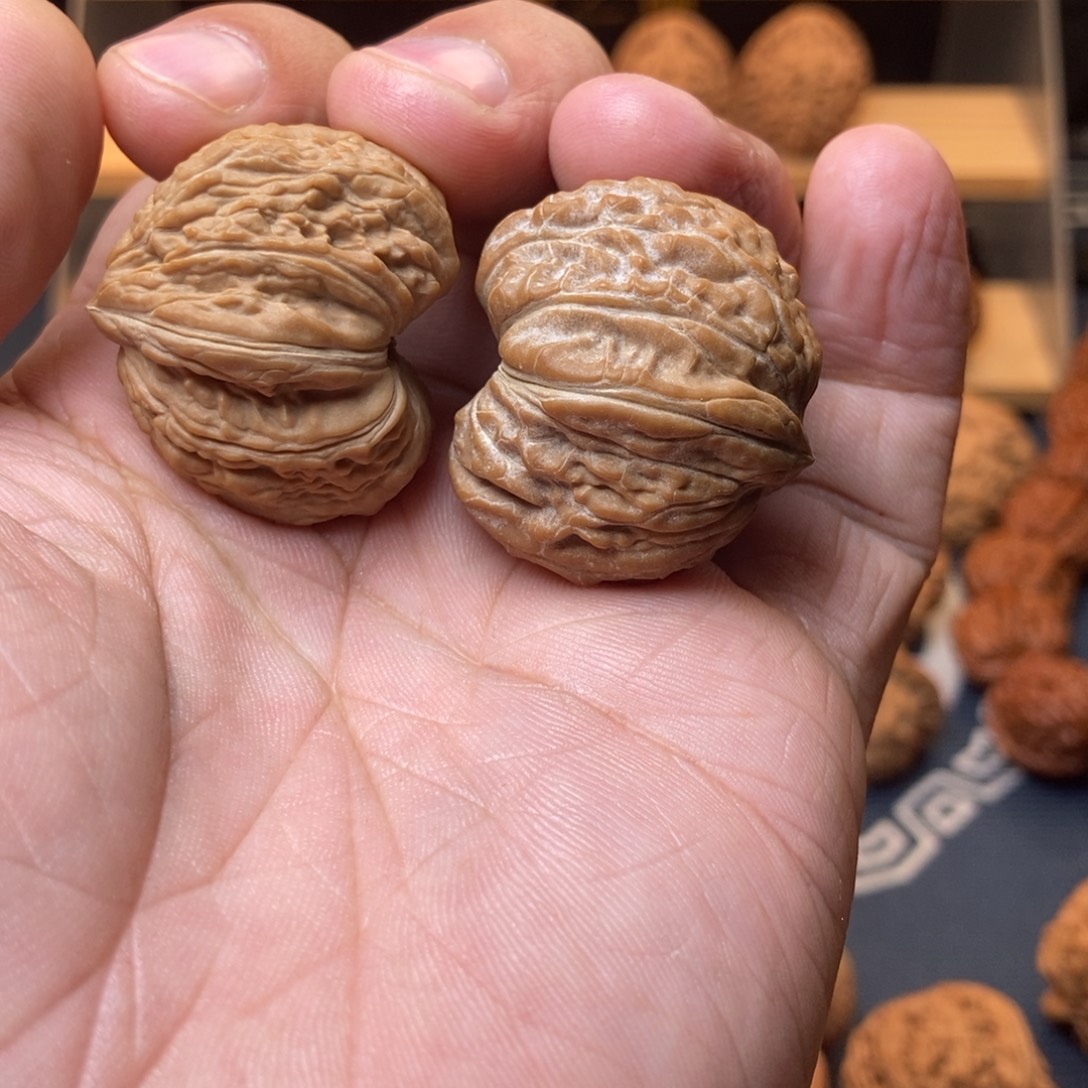 文玩核桃把件原树全品33+寿星头