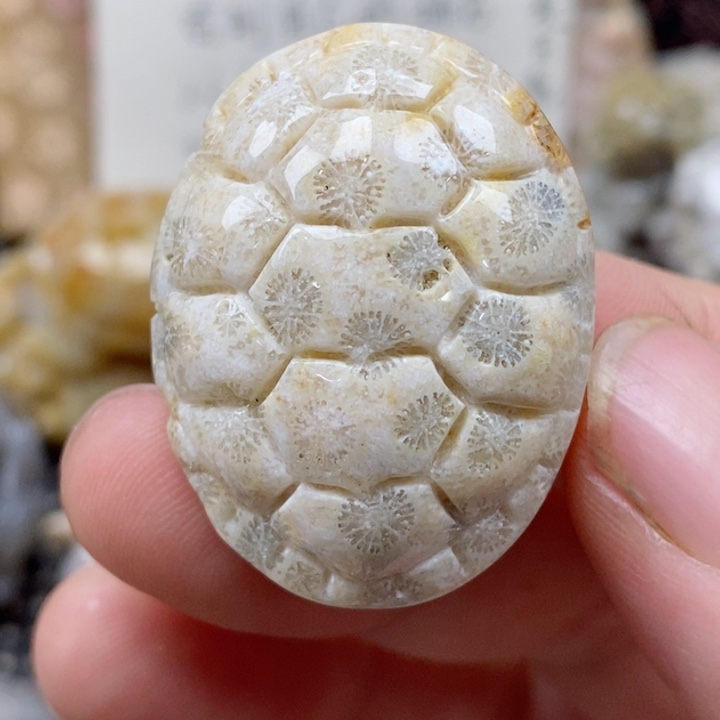 颈饰未镶嵌硅化珊瑚（珊瑚玉）有瑕