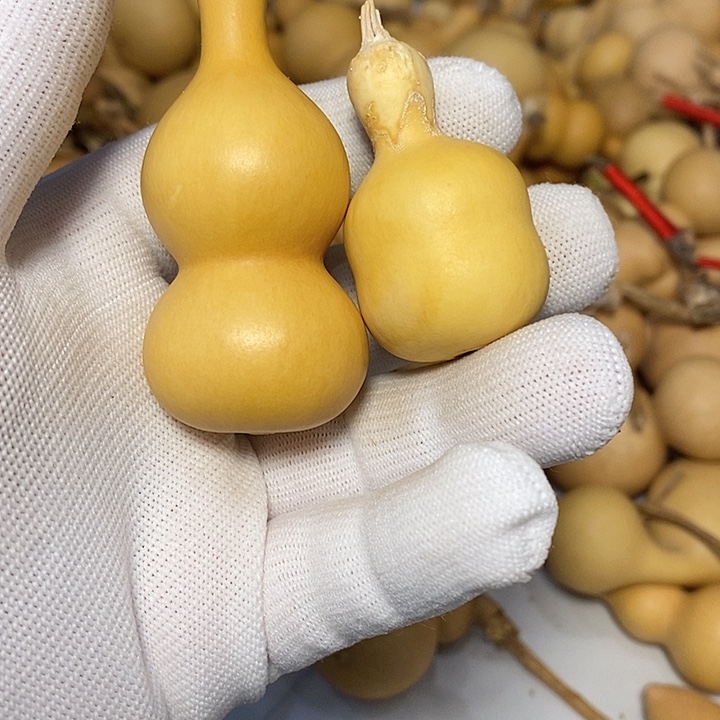 俺***人精品葫芦手把葫芦8