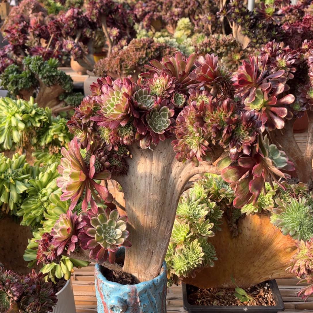 水墨画竖版精品福利