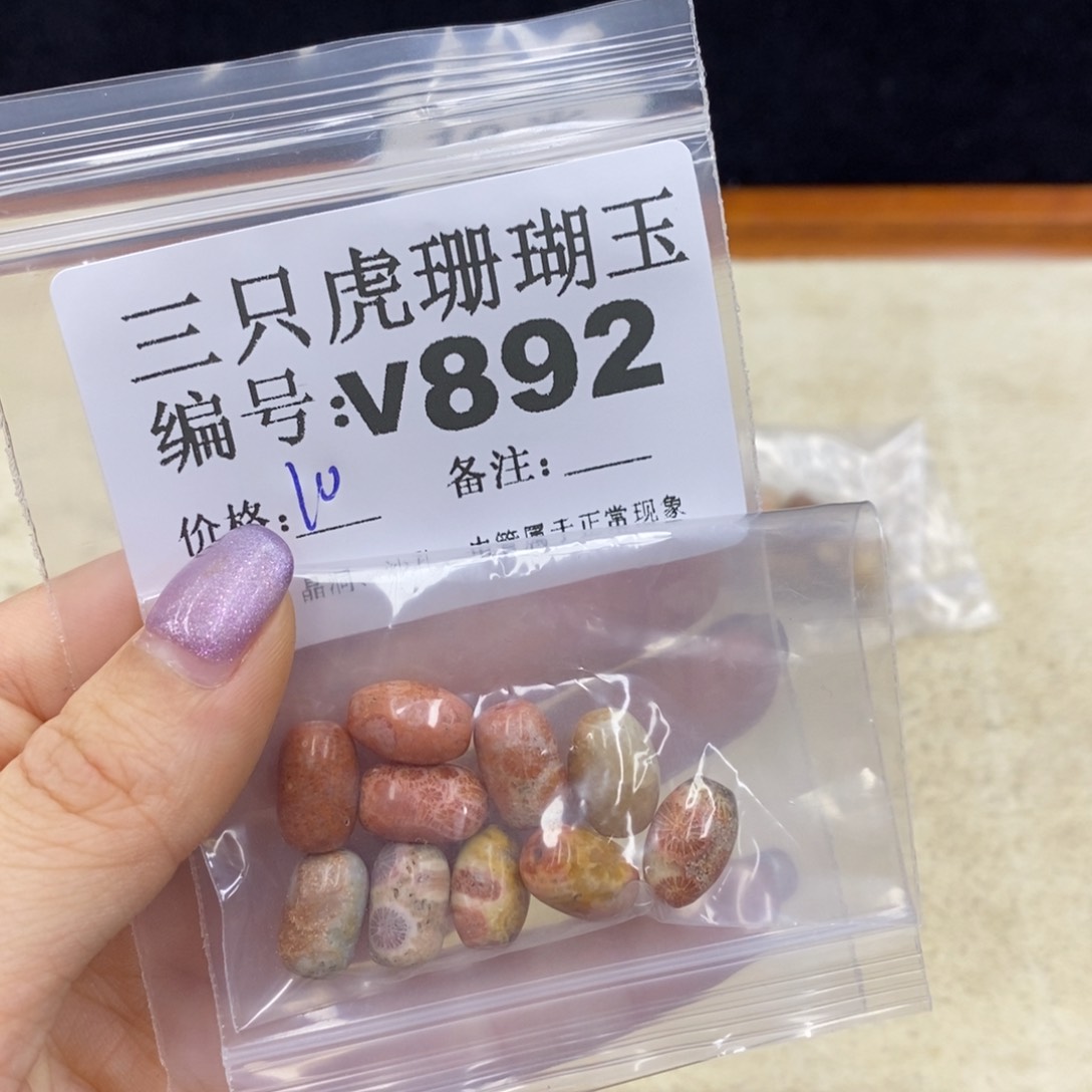 硅化珊瑚（珊瑚玉）未镶嵌1明**好