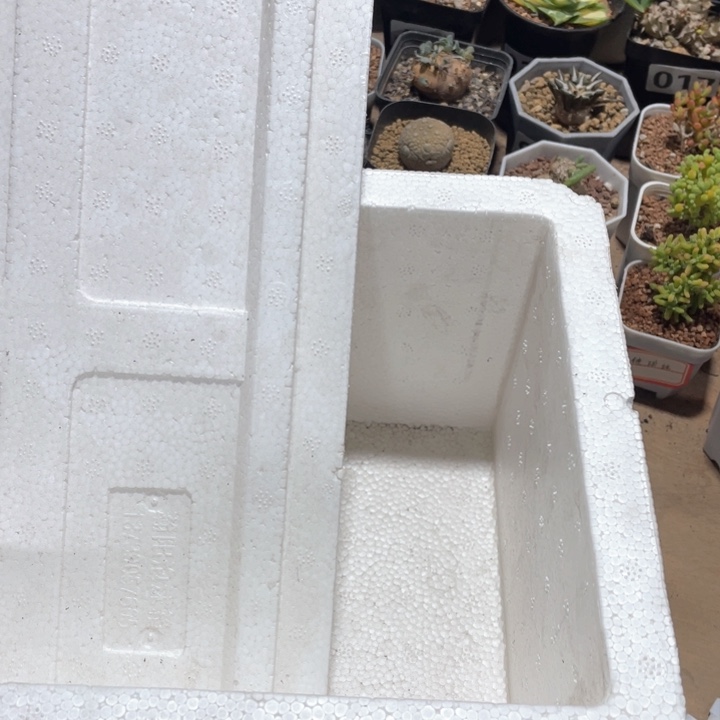 0度以下植物保温箱1只