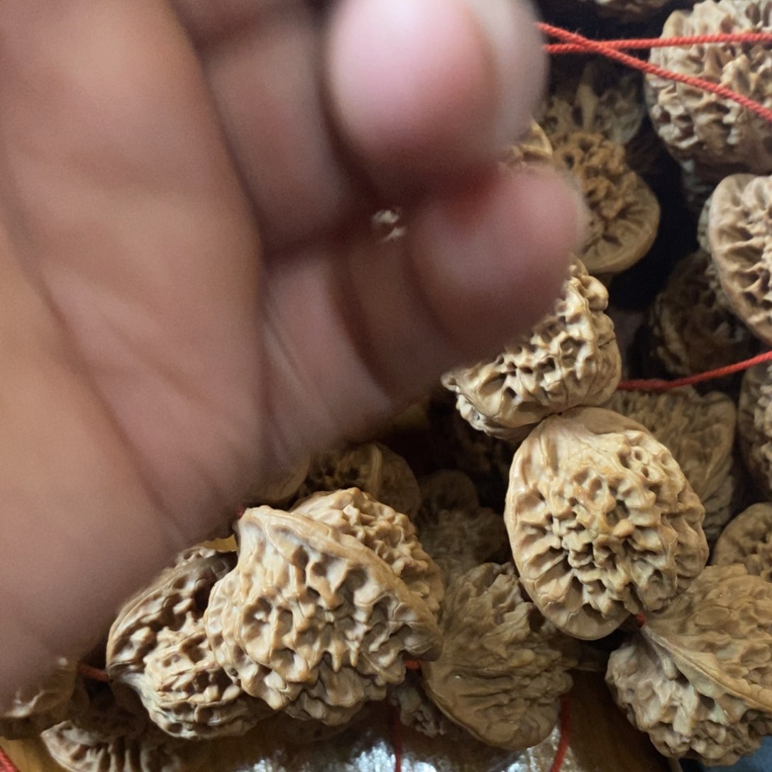 i*玉秦岭山脉东面至黄河西口