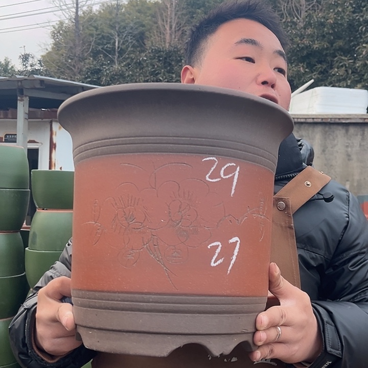 紫砂花盆紫砂花盆盆栽