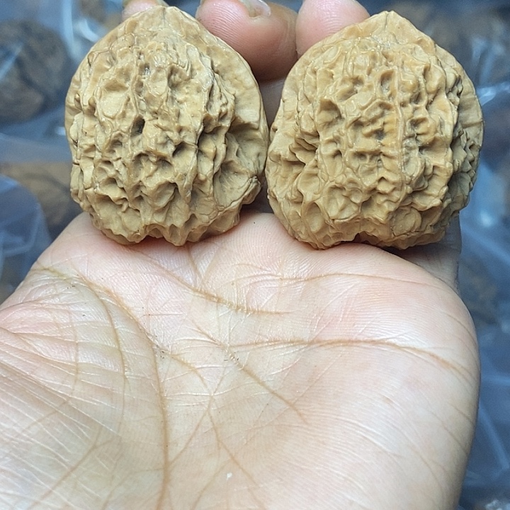 把件文玩核桃云南铁核桃基地28