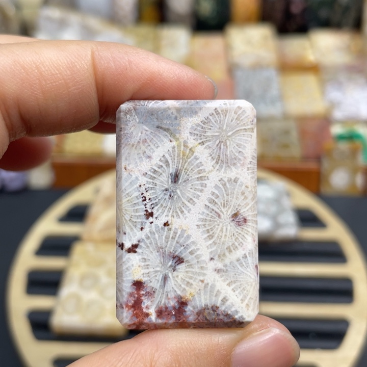 硅化玉未镶嵌颈饰k23