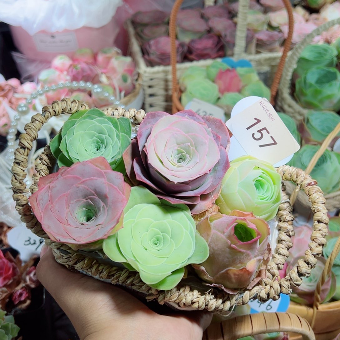 157藤编双耳花篮组合。      