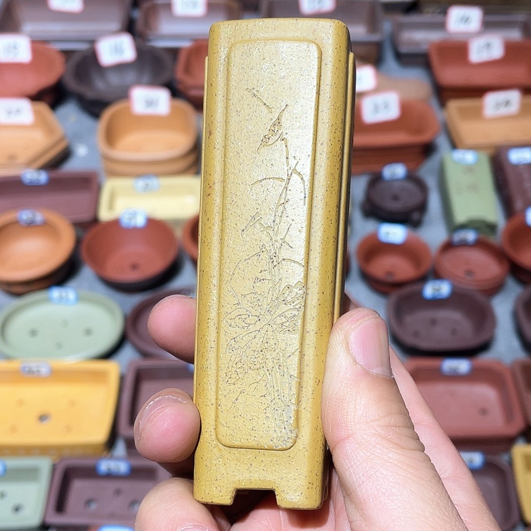 李*霸紫砂小盆2.5*11.5cmm