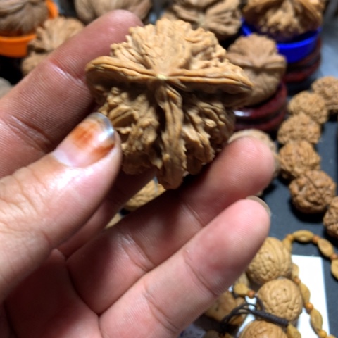 核桃快***恼天然三棱一个