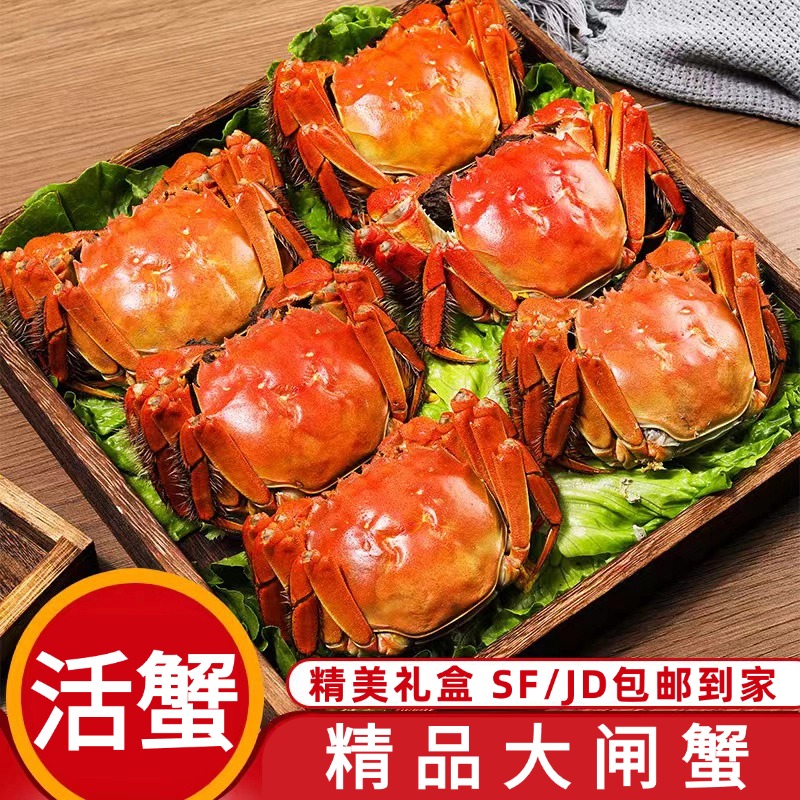 【金标活蟹】苏州精品大闸蟹全母4.0-3.7两到手10只顺丰京东包邮A