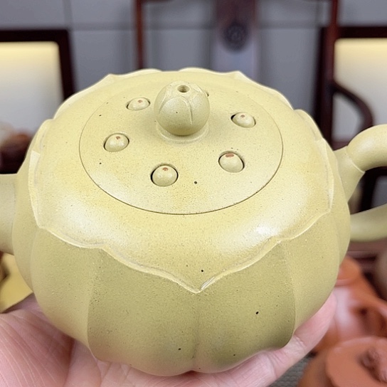 紫砂茶壶不会被我