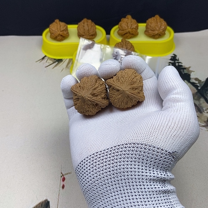 核桃核桃等经济作物的栽培技术研究和推广