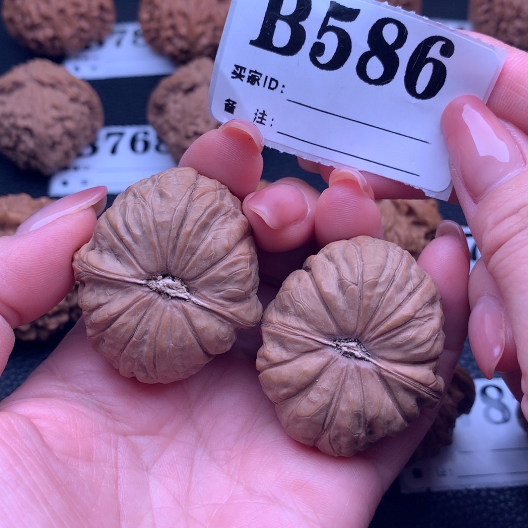 核桃南瓜586链接38尺全