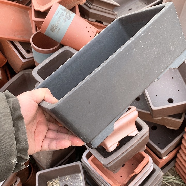 紫砂没有那么好吃我的人生