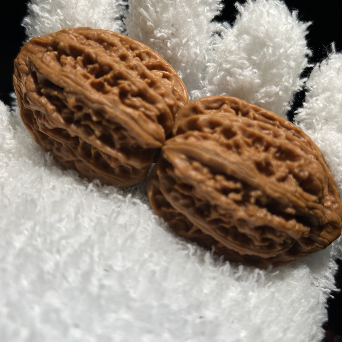 小众平谷带鱼也叫戒台寺虎头