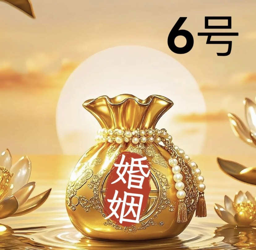6号  师傅推荐 姻「元」家庭 和和美美  生肖绘制