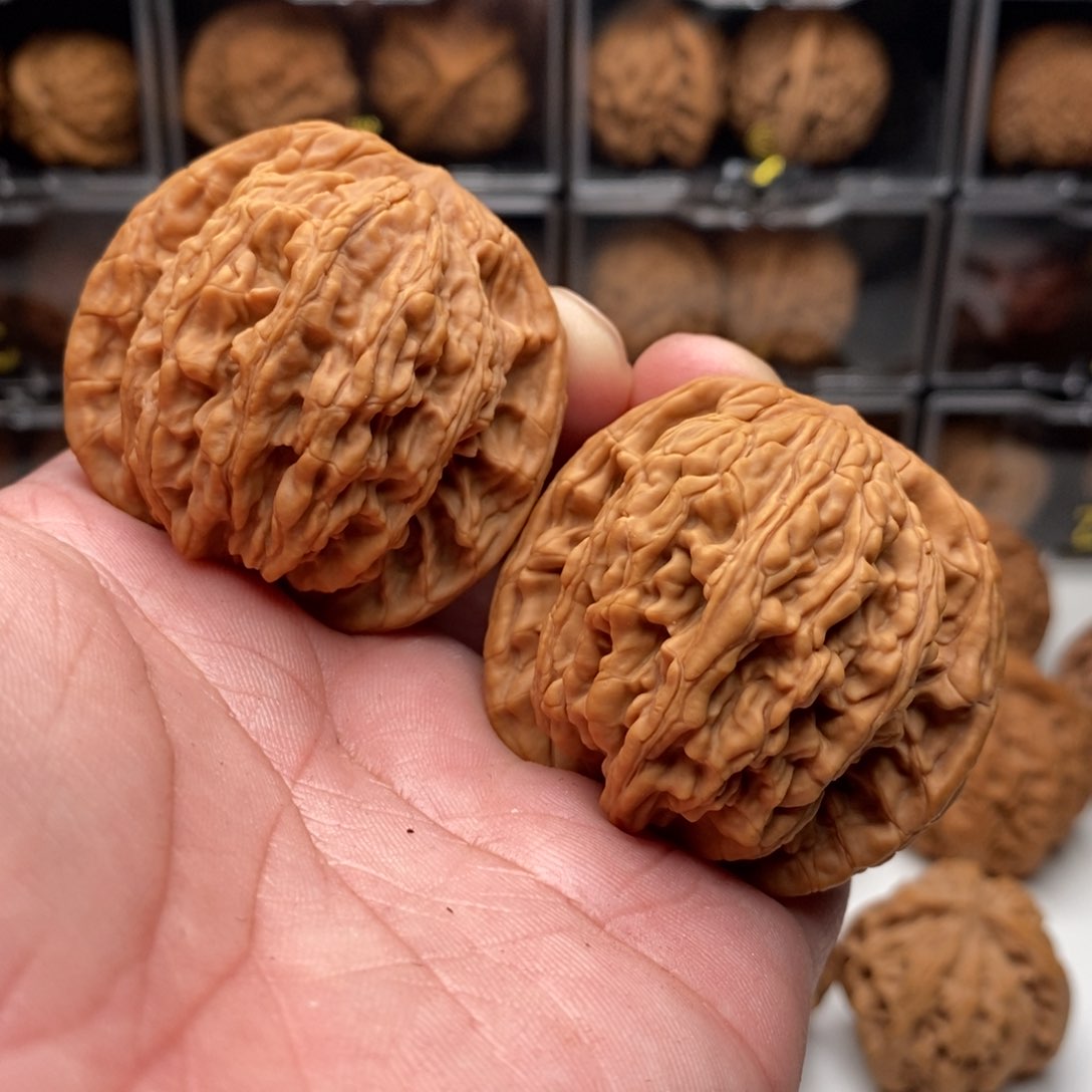 47全品大麦穗虎头一对