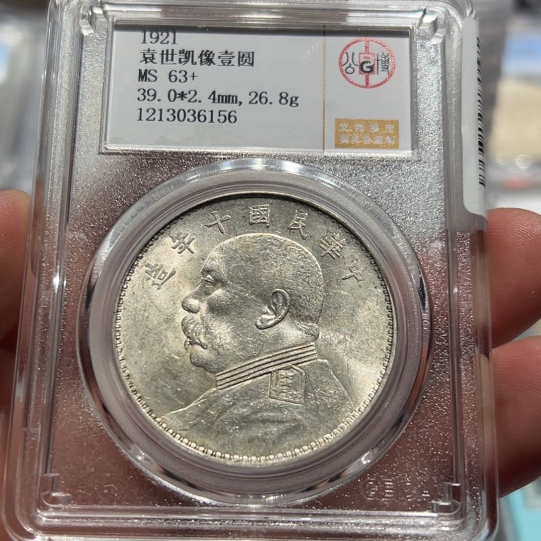 银MS63+民国十年大头银币6156