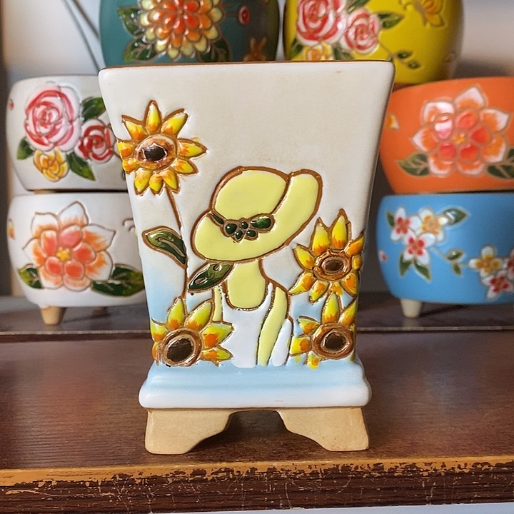 韩式多肉植物花盆