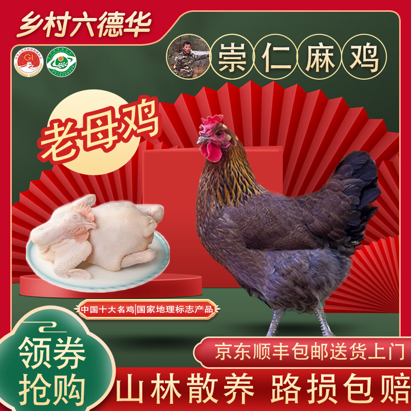 【500天】江西崇仁麻鸡青脚麻羽山林散养地理标志 包冰率不含冰