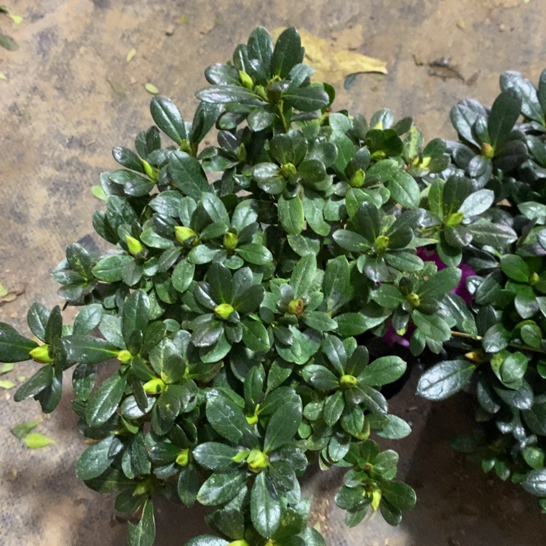 完全开放22222222