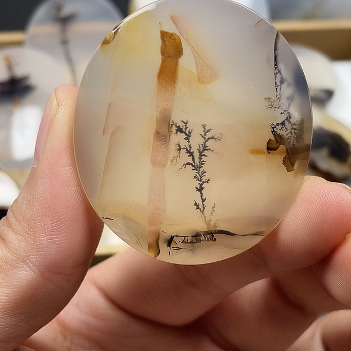 春***晓玛瑙/玉髓未镶嵌颈饰