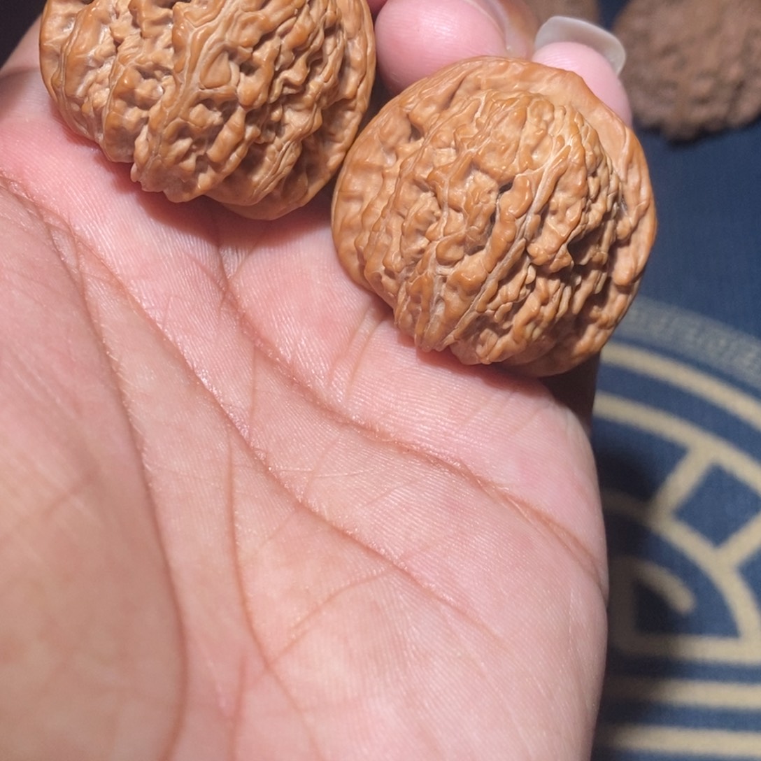 吊坠文玩核桃35尺寸蓟县小山地楼