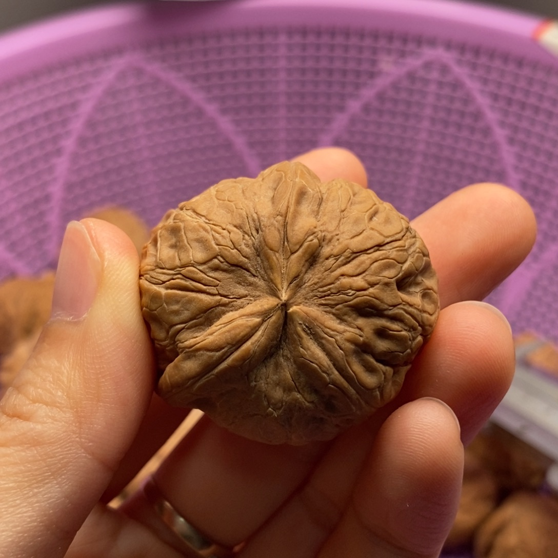 时***爱核桃定制商品不退不换