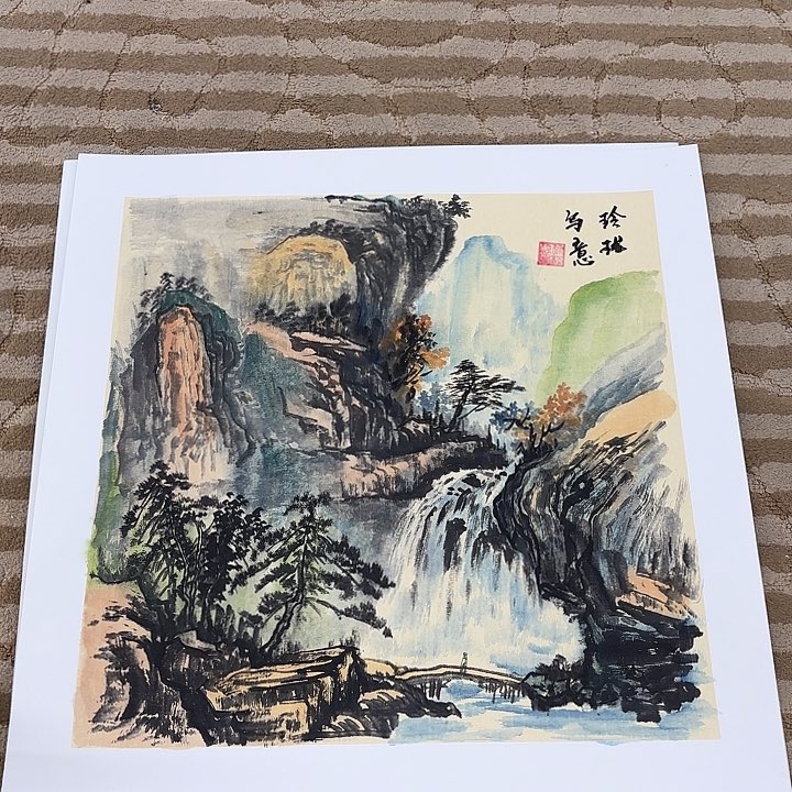 国画花鸟的翅膀和羽毛50.50