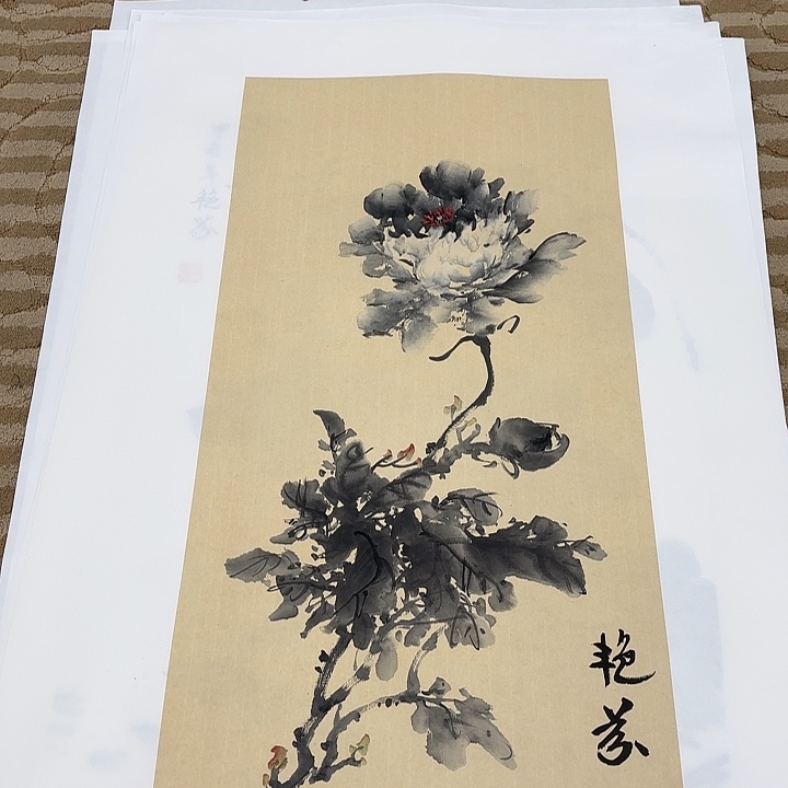 国画花鸟的翅膀和翅膀