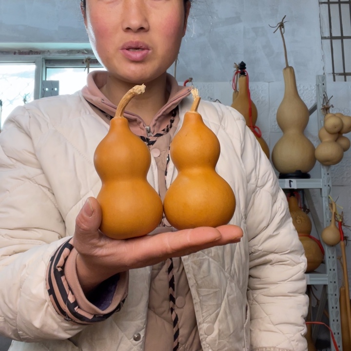 无***恙天然植物葫芦文玩