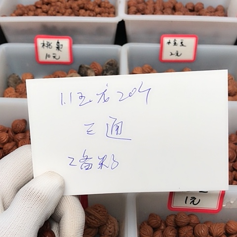桃核吊坠用****9龙纹桃核的搭配