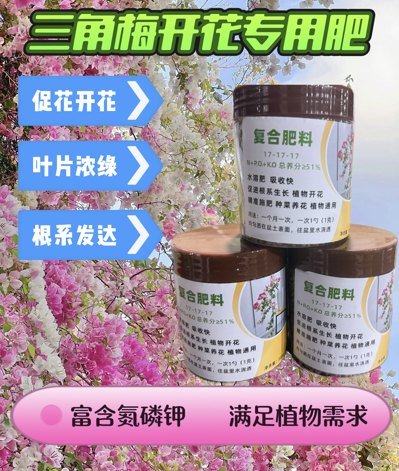 三角梅爆花神器复合肥促分枝养冠幅