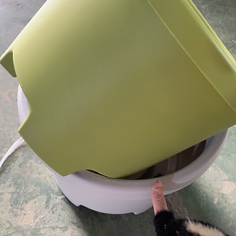 树脂球根32口果绿5个无托