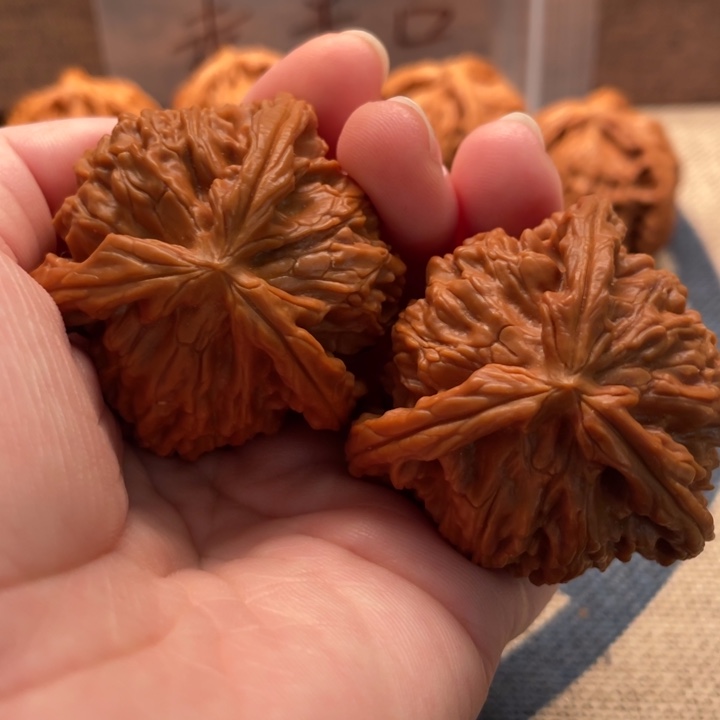 双***龙核桃白狮子43核桃