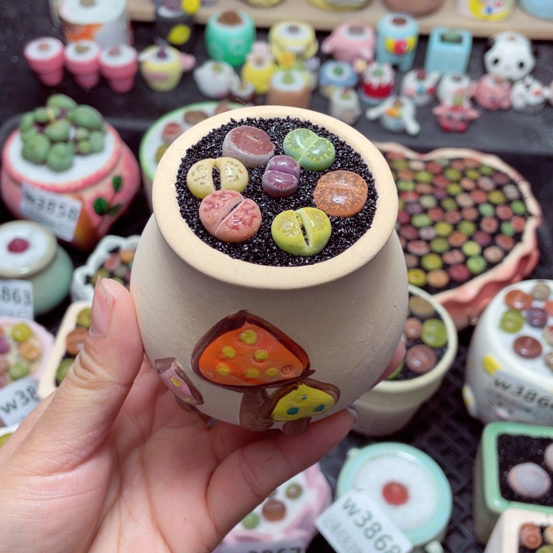 w3872 带盆土发货-零下地区拍保温箱